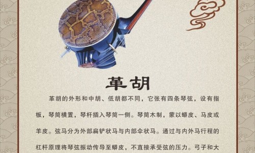 绞股蓝和黄芪哪个更适合养生-黄芪喝绞股蓝泡水喝的功效-专业黄芪和绞股蓝能泡在一起喝吗平台-绞股蓝炙黄芪神奇功效