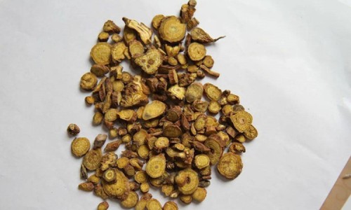 黄芪绞股蓝泡水的作用-黄芪喝绞股蓝泡水喝的功效-专业黄芪和绞股蓝能泡在一起喝吗平台-绞股蓝炙黄芪神奇功效