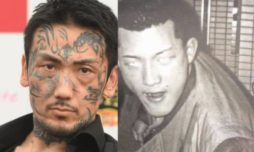 黄芪喝绞股蓝泡水喝的功效-专业黄芪和绞股蓝能泡在一起喝吗平台-绞股蓝炙黄芪神奇功效