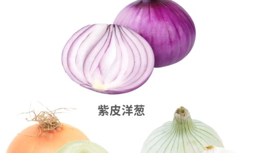黄芪喝绞股蓝泡水喝的功效-专业黄芪和绞股蓝能泡在一起喝吗平台-绞股蓝炙黄芪神奇功效
