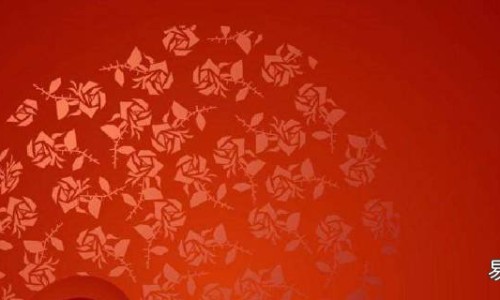 绞股蓝和黄芪哪个更适合养生-黄芪喝绞股蓝泡水喝的功效-专业黄芪和绞股蓝能泡在一起喝吗平台-绞股蓝炙黄芪神奇功效