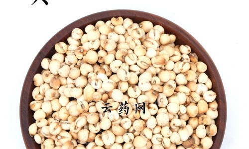 黄芪喝绞股蓝泡水喝的功效-专业黄芪和绞股蓝能泡在一起喝吗平台-绞股蓝炙黄芪神奇功效
